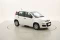 Fiat Panda Easy 1.2 Benzina 69CV Bianco - thumbnail 7