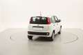 Fiat Panda Easy 1.2 Benzina 69CV Bianco - thumbnail 5