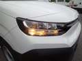 Citroen Berlingo KW 1.5 BHDI 100 M netto EUR 18.825,- Weiß - thumbnail 9
