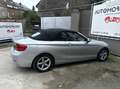 BMW 218 218iA cabriolet  luxury line garantie 12 mois Gris - thumbnail 4