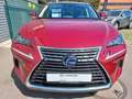 Lexus NX 300h Executive Rouge - thumbnail 5