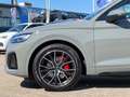 Audi Q5 50 TDI quattro S line Optik-Paket schwarz plu Grau - thumbnail 9