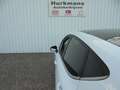 Ford Fiesta 1.0T 100PK VIGNALE PANODAK ALLE OPTIES !! Blanc - thumbnail 11