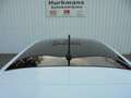 Ford Fiesta 1.0T 100PK VIGNALE PANODAK ALLE OPTIES !! Blanc - thumbnail 10