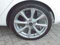 Ford Fiesta 1.0T 100PK VIGNALE PANODAK ALLE OPTIES !! Blanc - thumbnail 12