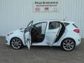Ford Fiesta 1.0T 100PK VIGNALE PANODAK ALLE OPTIES !! Blanc - thumbnail 5