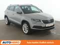 Skoda Karoq 1.5 TSI ACT Style*NAVI*CAM*SHZ*TEMPO* Grau - thumbnail 8