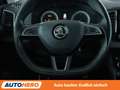 Skoda Karoq 1.5 TSI ACT Style*NAVI*CAM*SHZ*TEMPO* Grau - thumbnail 19
