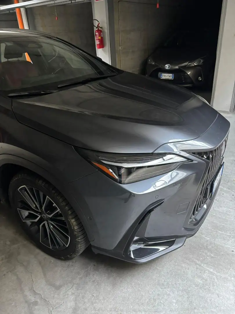 Lexus NX 450h+ NX 450h+ 2.5 phev Luxury 4wd 309cv e-cvt Grigio - 1