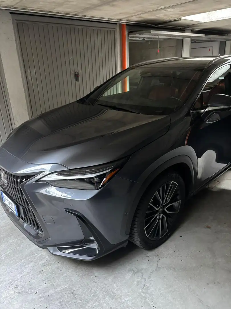 Lexus NX 450h+ NX 450h+ 2.5 phev Luxury 4wd 309cv e-cvt Grigio - 2