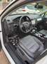 Volkswagen Touareg 3.0 TDI Executive 204cv 4Motion | STORICOTAGLIANDI Bianco - thumbnail 10