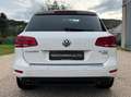 Volkswagen Touareg 3.0 TDI Executive 204cv 4Motion | STORICOTAGLIANDI Bianco - thumbnail 6