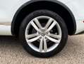 Volkswagen Touareg 3.0 TDI Executive 204cv 4Motion | STORICOTAGLIANDI Bianco - thumbnail 8