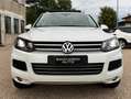 Volkswagen Touareg 3.0 TDI Executive 204cv 4Motion | STORICOTAGLIANDI Bianco - thumbnail 5