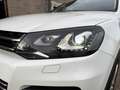 Volkswagen Touareg 3.0 TDI Executive 204cv 4Motion | STORICOTAGLIANDI Bianco - thumbnail 9