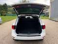 Volkswagen Touareg 3.0 TDI Executive 204cv 4Motion | STORICOTAGLIANDI Bianco - thumbnail 7
