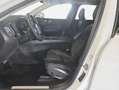 Volvo XC60 XC60 T8 AWD Recharge Core Weiß - thumbnail 7
