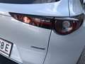 Mazda CX-30 e-Skyactive G140 Homura Aut. AUTO STAHL WIEN 21... Weiß - thumbnail 8