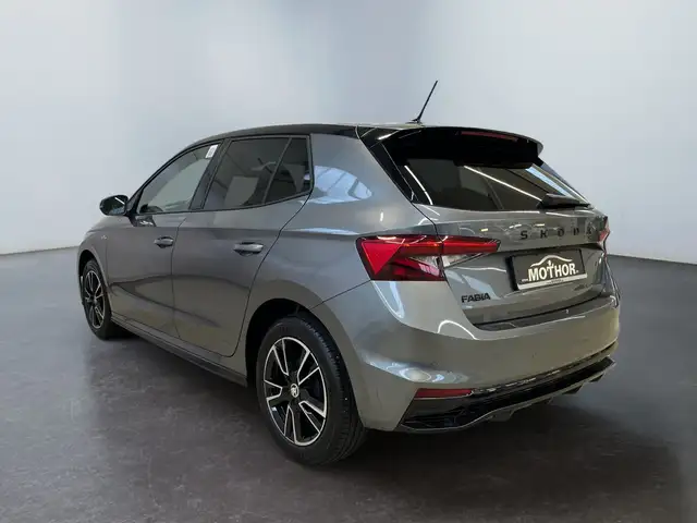 Skoda Fabia view 4