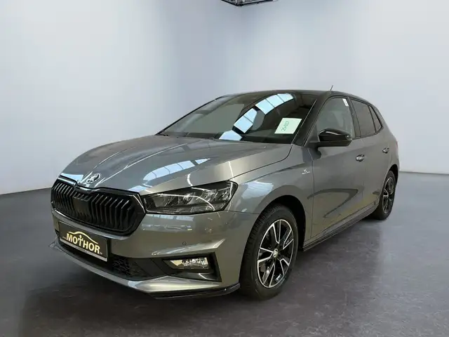 Skoda Fabia view 2