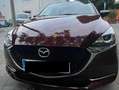 Mazda 2 Mazda2 1.5 e-Skyactiv-g Homura Burdeos - thumbnail 21