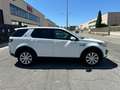 Land Rover Discovery Sport 2.0 TD4 150 CV HSE Blanc - thumbnail 7