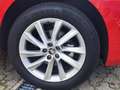 Skoda Kamiq Kamiq 150PS DSG Sitz-Lenk-Scheibenheizung Garantie Rot - thumbnail 9