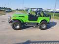 Jeep CJ-7 CJ-7 5.0 V8 Verde - thumbnail 2