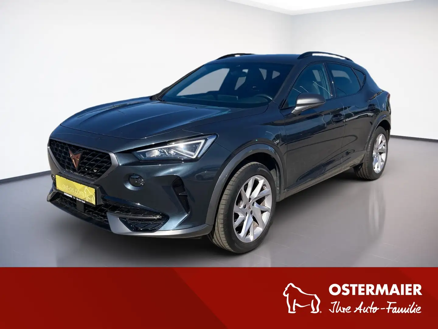 CUPRA Formentor 1.5TSI 150PS LED.AHK.PANO.LEDER.NAVI.ACC.SITZHZG Grau - 1