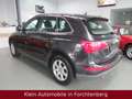 Audi Q5 3.0 TDI  Quattro Aut. LederNaviXenonPanoSthz. Grau - thumbnail 4