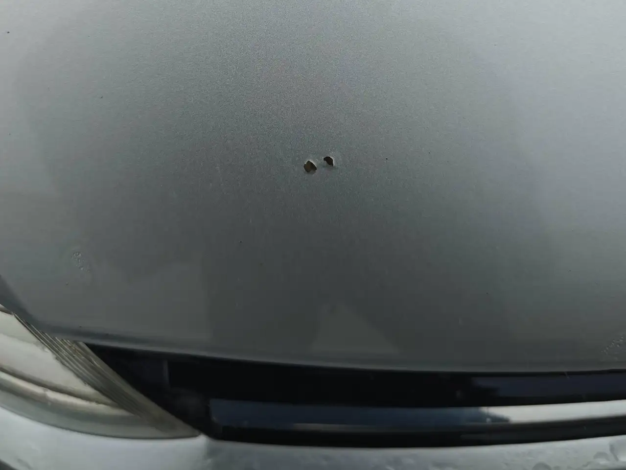 Volkswagen Polo Citadine 5 portes — photo 9