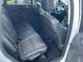 Ford Kuga 2.0 TDCi Titanium AHK-abnehmbar Klimaautom SHZ Key Weiß - thumbnail 12