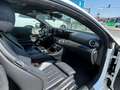 Mercedes-Benz E 220 d 4MATIC Automatik 194PS Leder LED Panoramadach Weiß - thumbnail 12