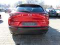 Mazda CX-30 e-SKYACTIV-G M-Hybrid 140 Homura AT Rot - thumbnail 5