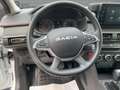 Dacia Sandero TCe 90 EDC Stepway Automatik Schiebedach Weiß - thumbnail 11