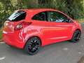 Ford Ka/Ka+ Ka 1.2 Trend Rot - thumbnail 3