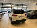 Citroen C5 Aircross SHINE BlueHDi 180 EAT8 TETTO PELLE Blanc - thumbnail 4