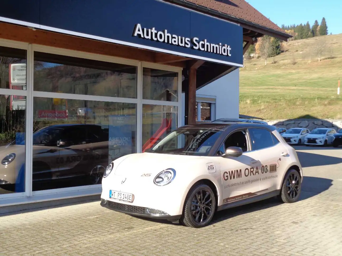 GWM ORA 03 400 PRO mit Wärmepumpen-Funktio Beige - 2