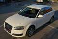 Audi A3 A3 SB 1,6 Jubiläumsmodell Jubiläumsmodell Weiß - thumbnail 7
