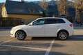 Audi A3 A3 SB 1,6 Jubiläumsmodell Jubiläumsmodell Weiß - thumbnail 2