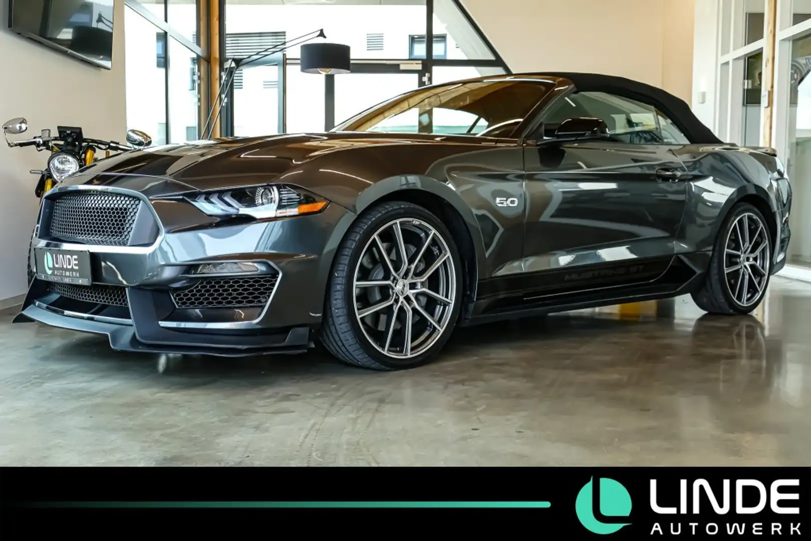 Ford Mustang Cabrio 5.0 V8 GT Shelby Fifty Five Years Grau - 1