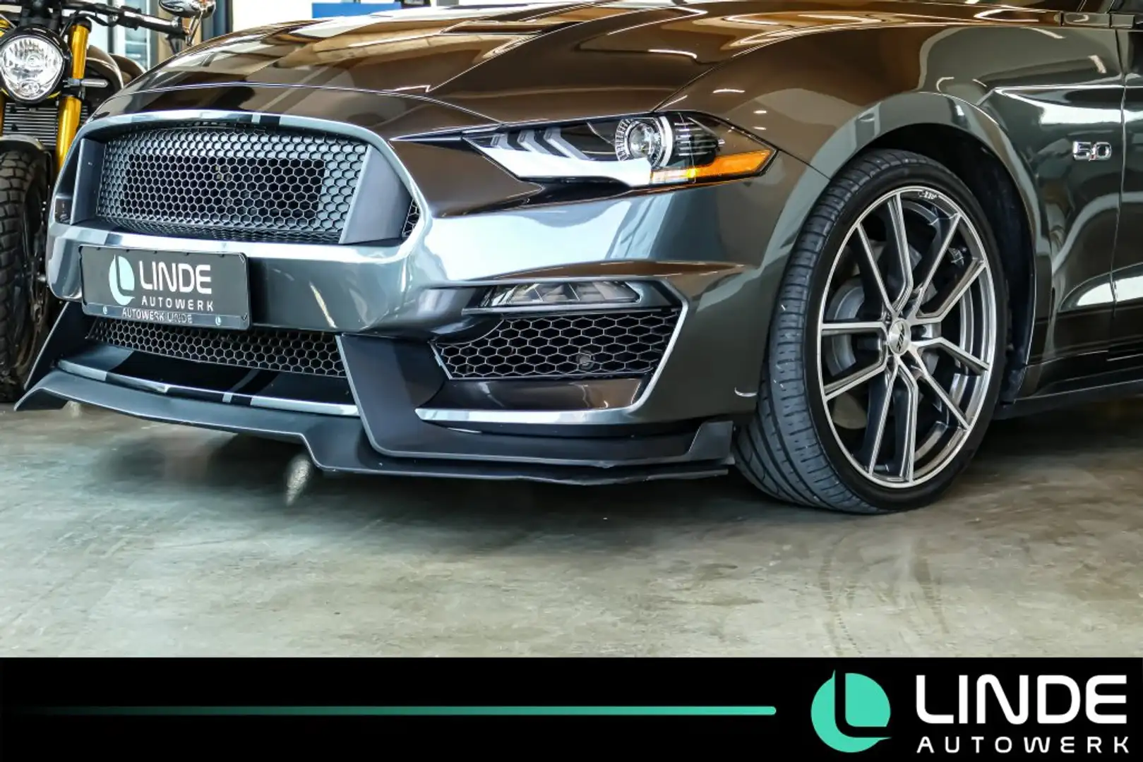 Ford Mustang Cabrio 5.0 V8 GT Shelby Fifty Five Years Grau - 2