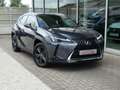 Lexus UX 250h HYBRID +LEDER +Zetelverwarming +Dodehoek +GPS Gris - thumbnail 21