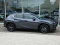 Lexus UX 250h HYBRID +LEDER +Zetelverwarming +Dodehoek +GPS Gris - thumbnail 23