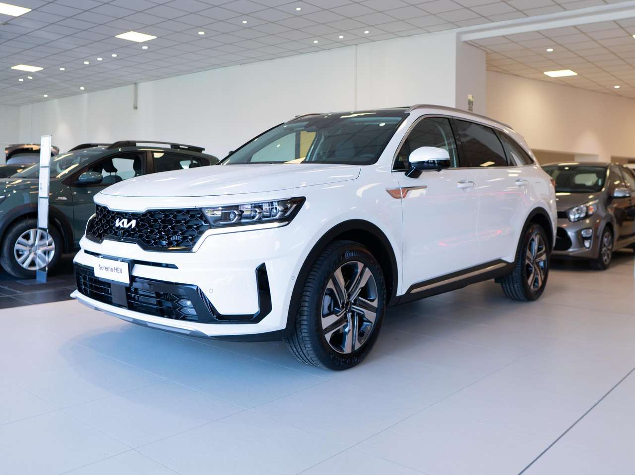 Kia Sorento 1.6 t-gdi hev Evolution awd at6