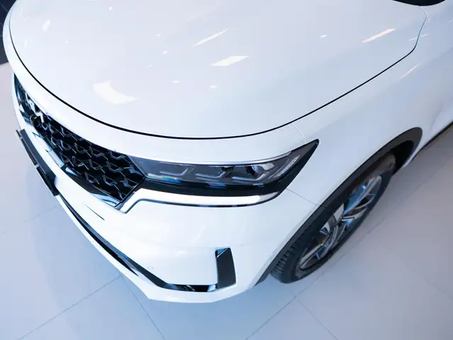 Kia Sorento view 25