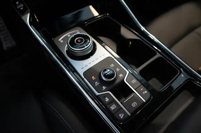 Kia Sorento view 15