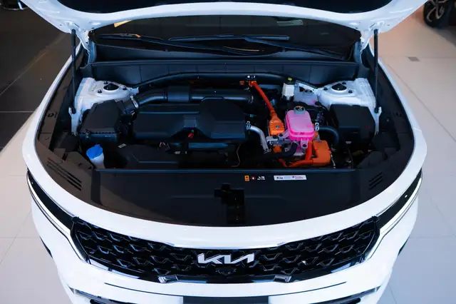 Kia Sorento view 22