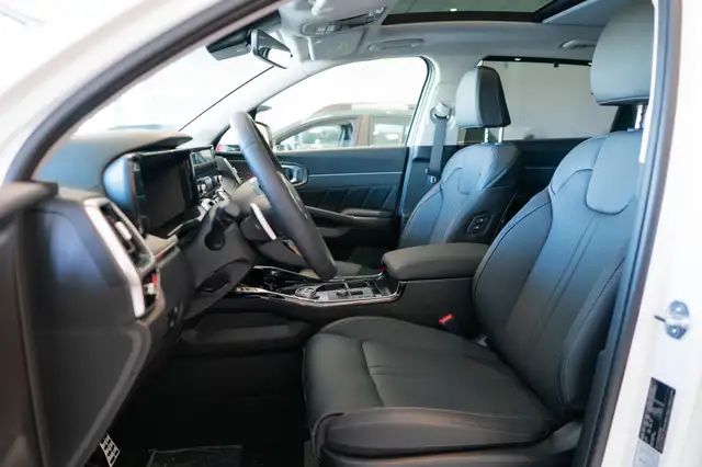 Kia Sorento view 6