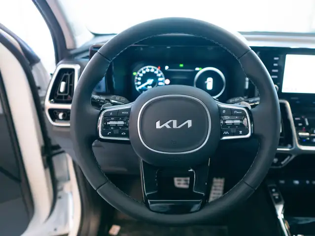 Kia Sorento view 16
